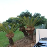 Spacious In 200 M² With Shared Pool * البوفيرا