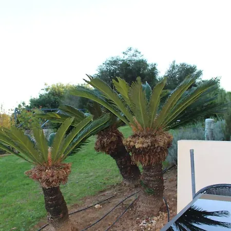 Apartment Spacious In 200 M² With Shared Pool Albufeira