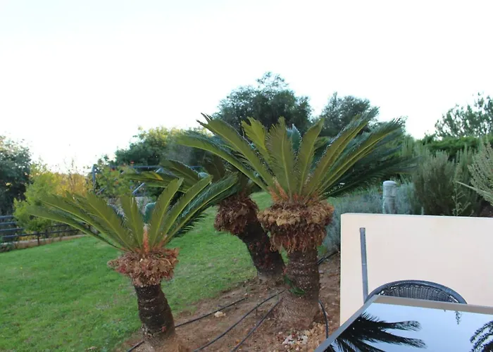 Spacious In 200 M² With Shared Pool * Albufeira